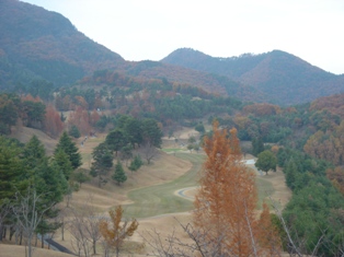 紅葉DSC04072.JPG 紅葉DSC04072.JPG