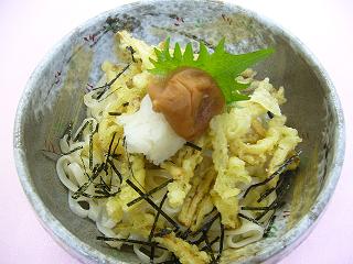 南高梅とゴボウのうどん.JPG