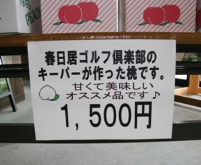 IMG_2383.JPG IMG_2383.JPG