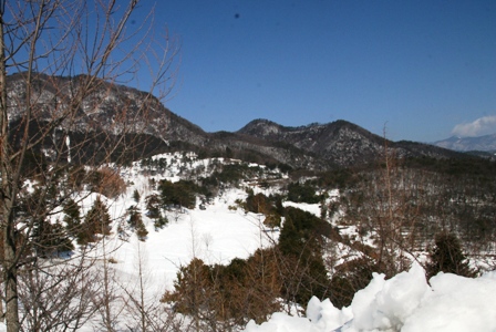 IMG_1番.JPG IMG_1番.JPG