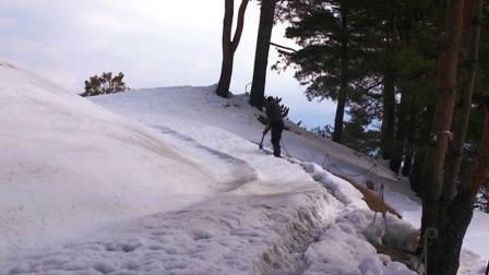 DSC_0204.jpg DSC_0204.jpg