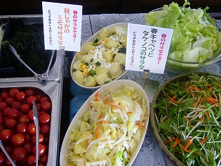 春のサラダです。.jpg 春のサラダです。.jpg