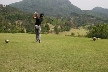 IMG_2993.JPG IMG_2993.JPG